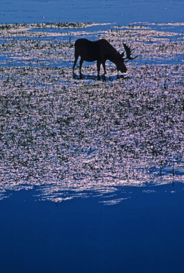 Screen shot 2013-11-07 at 00.16.25